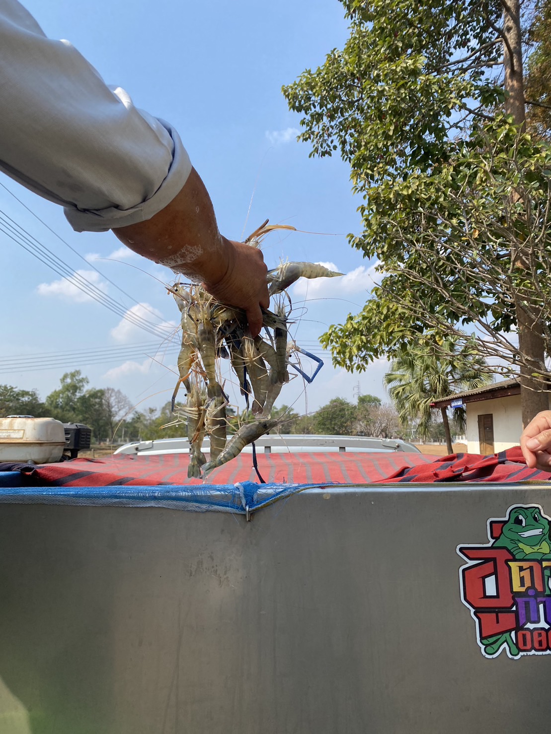 ตรวจสอบสินค้าประมง ส่งออกไปยัง สปป.ลาว..คลิก