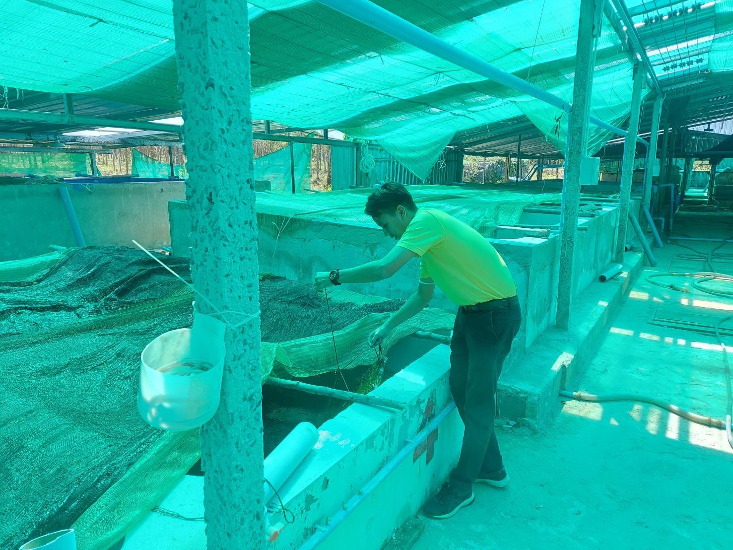 สำนักงานประมงจังหวัดภูเก็ต ลงพื้นที่ติดตามเกษตรกรผู้แจ้งประกอบกิจการการเพาะเลี้ยงกุ้งทะเล (จสค.) และติดตามการเข้าใช้งานระบบโปรแกรมประยุกต์การออกหนังสือกำกับการซื้อขายสัตว์น้ำ (APD)..คลิก
