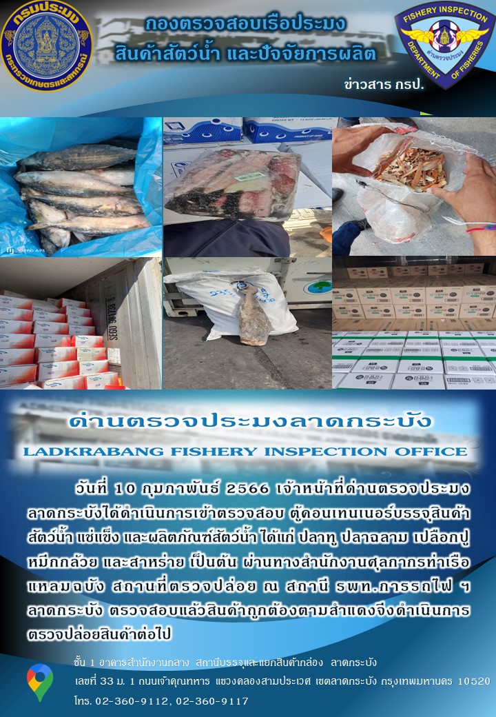 ตรวจสอบสินค้าสัตว์น้ำนำเข้าประจำวันที่ 10 กุมภาพันธ์ 2566..คลิก