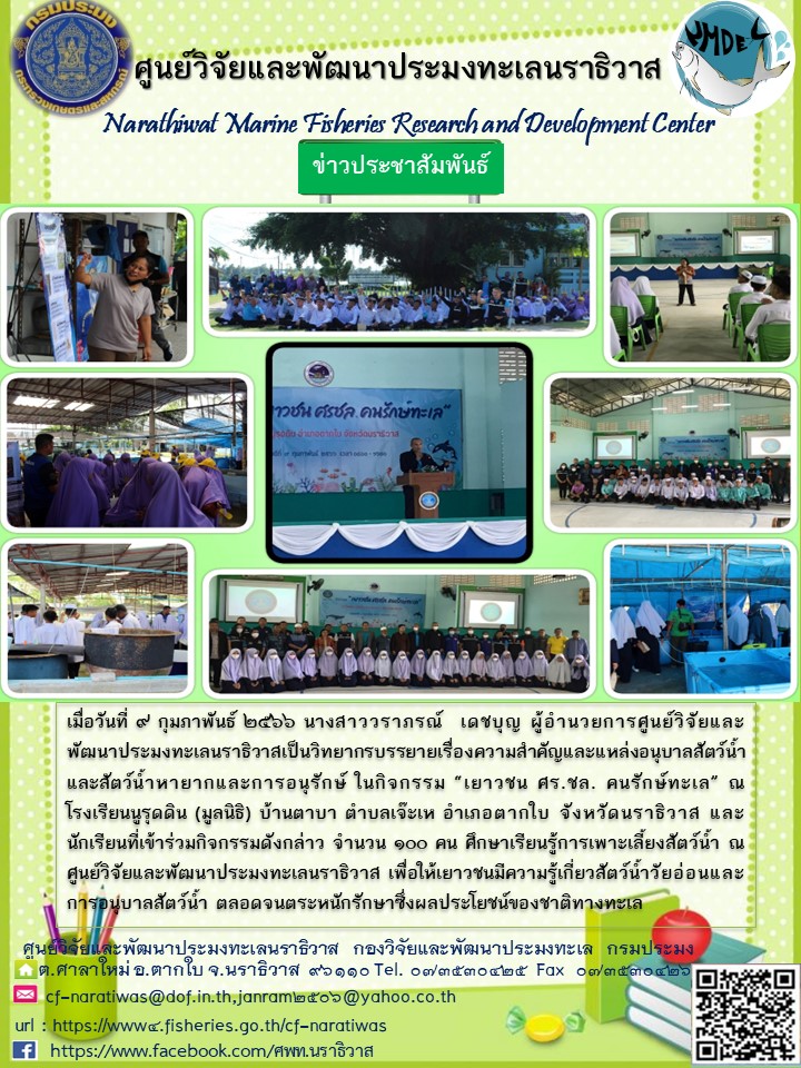 เมื่อวันที่ 9 กุมภาพันธ์ 2566 นางสาววราภรณ์ เดชบุญ ผู้อำนวยการศูนย์วิจัยละพัฒนาประมงทะเลนราธิวาสเป็นวิทยากรบรรยายเรื่องความสำคัญและแหล่งอนุบาลสัตว์น้ำและสัตว์น้ำหายากและการอนุรักษ์ ในกิจกรรม “เยาวชน ศร. ชล. คนรักษ์ทะเล” ณ โรงเรียนนูรุดดิน (มูลนิธิ) บ้านตาบา ตำบลเจ๊ะเห อำเภอตากใบ จังหวัดนราธิวาส และนักเรียนที่เข้าร่วมกิจกรรมดังกล่าว จำนวน 100 คน ศึกษาเรียนรู้การเพาะเลี้ยงสัตว์น้ำ ณ ศูนย์วิจัยและพัฒนาประมงทะเลนราธิวาส เพื่อให้เยาวชนมีความรู้เกี่ยวกับสัตว์น้ำวัยอ่อนและการอนุบาลน้ำ ตลอดจนตระหนักรักษาซึ่งผลประโยชน์ของชาติทางทะเล..คลิก