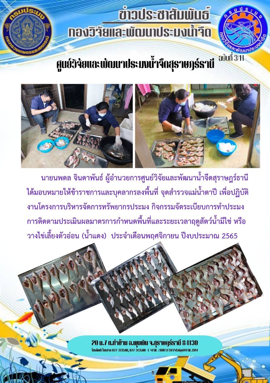 กิจกรรมจัดระเบียบการทำประมง การติดตามประเมินผลมาตรการกำหนดพื้นที่และระยะเวลาฤดูสัตว์น้ำมีไข่ หรือวางไข่เลี้ยงตัวอ่อน(น้ำแดง) ประจำเดือนพฤศจิกายน 2565