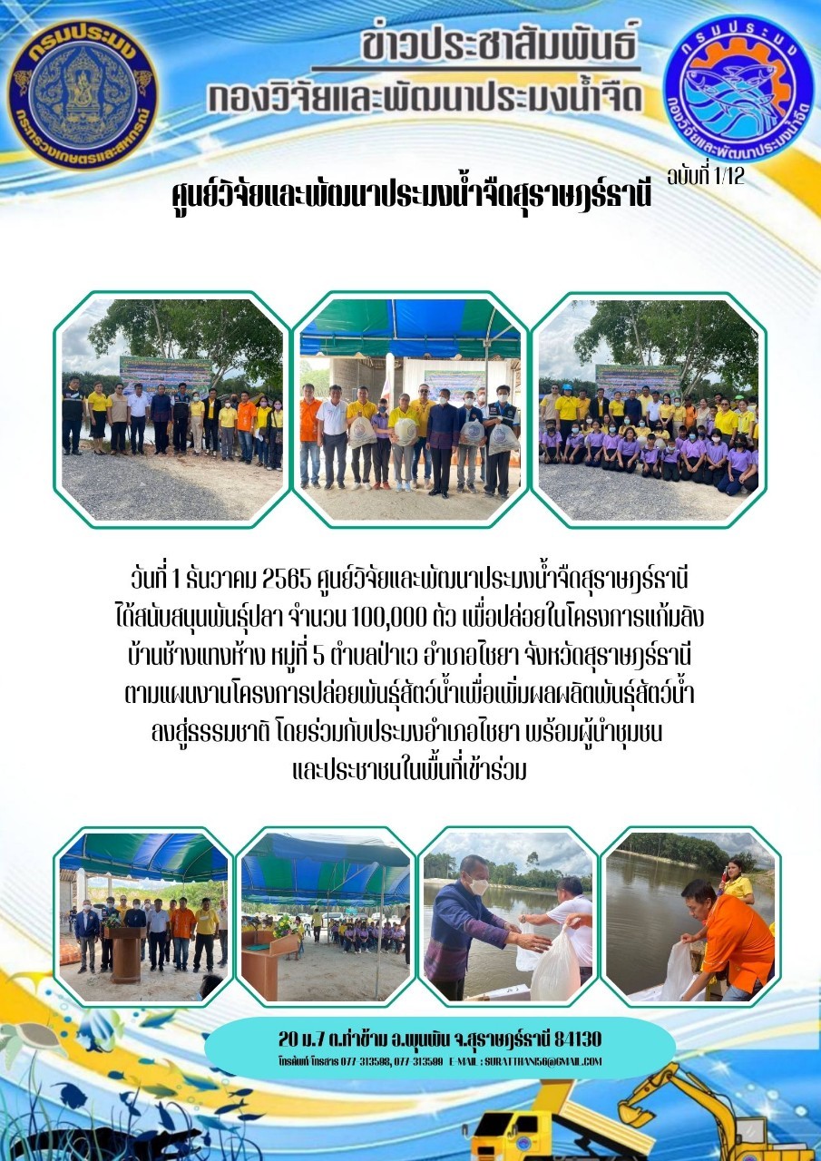 วันที่ 1 ธันวาคม 2565 ศูนย์วิจัยและพัฒนาประมงน้ำจืดสุราษฎร์ธานี ได้สนับสนุนพันธุ์ปลา จำนวน 100,000 ตัว เพื่อปล่อยในโครงการแก้มลิง บ้านช้างแทงห้าง หมู่ 5 ตำบลป่าเว อำเภอไชยา จังหวัดสุราษฎร์ธานี