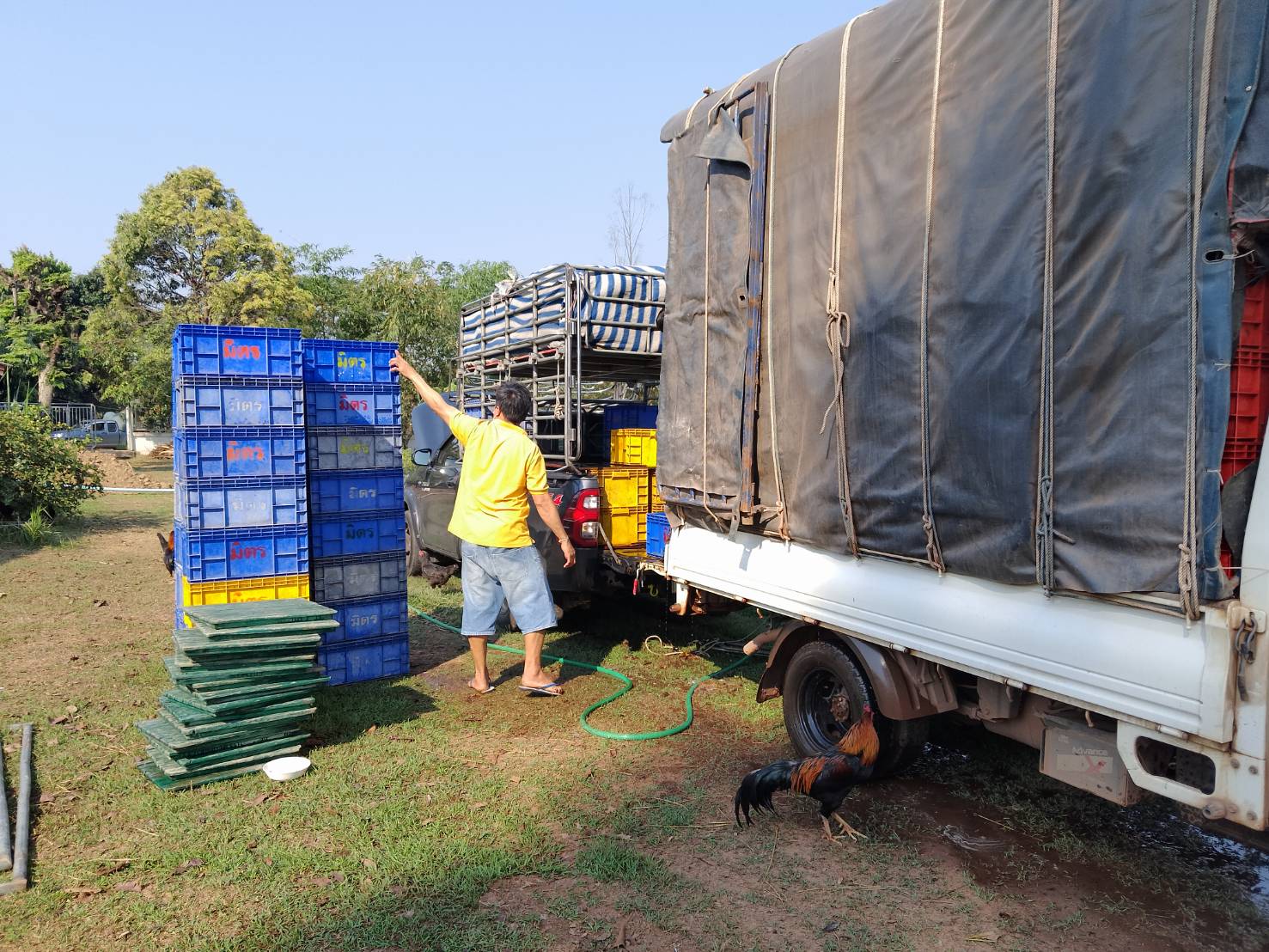 ตรวจสอบลูกพันธุ์สัตว์น้ำ ส่งออกไปยัง สปป.ลาว..คลิก