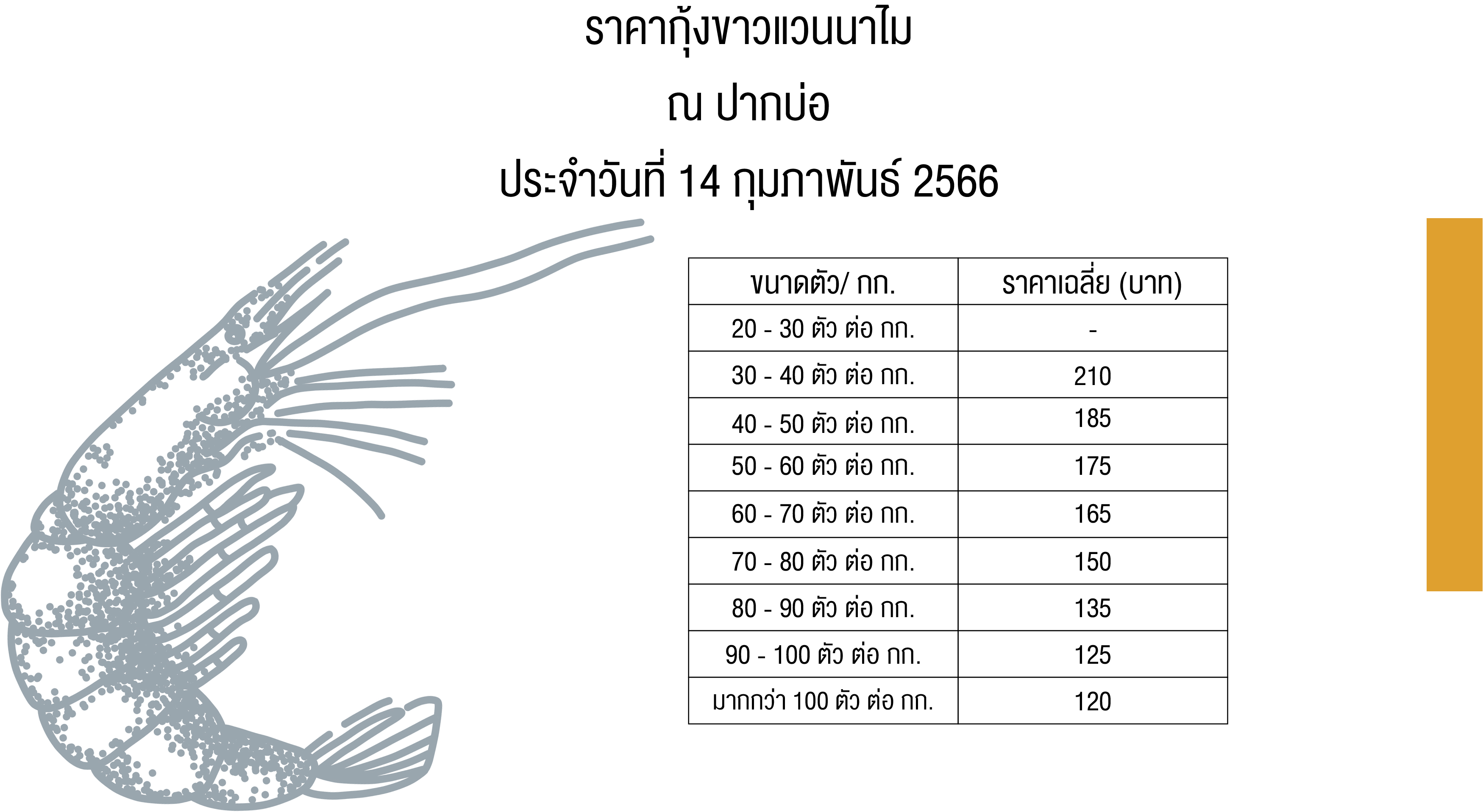 ราคากุ้งขาวแวนนาไม ณ ปากบ่อ จังหวัดนครนายก ประจำเดือน กุมภาพันธ์ 2566 #ราคากุ้งขาว..คลิก