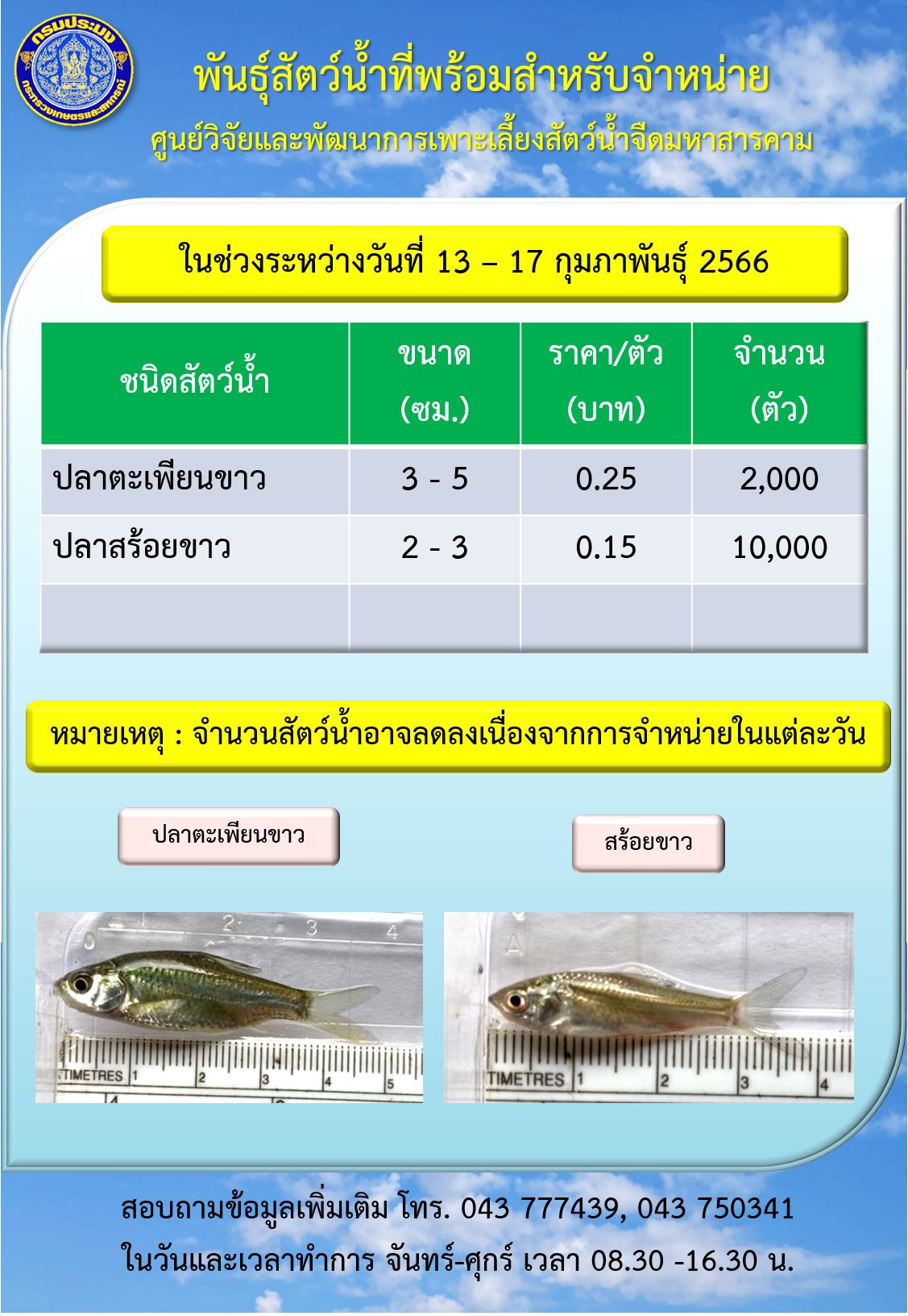 พันธุ์สัตว์น้ำที่พร้อมสำหรับจำหน่าย ศูนย์วิจัยและพัฒนาการเพาะเลี้ยงสัตว์น้ำจืดมหาสารคาม..คลิก