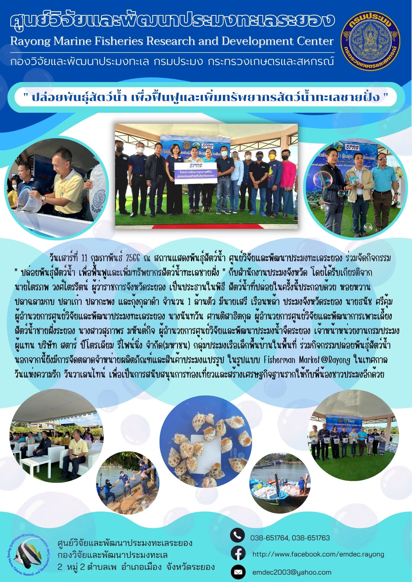 วันเสาร์ที่ 11 กุมภาพันธ์ 2566 ณ สถานแสดงพันธุ์สัตว์น้ำ ศูนย์วิจัยและพัฒนาประมงทะเลระยอง ร่วมจัดกิจกรรม “ปล่อยพันธุ์สัตว์น้ำ เพื่อฟื้นฟูและเพิ่มทรัพยากรสัตว์น้ำทะเลชายฝั่ง” กับสำนักงานประมงจังหวัด โดยได้รับเกียรติจาก นายไตรภพ วงศ์ไตรรัตน์ ผู้ว่าราชการจังหวัดระยอง เป็นประธานในพิธี สัตว์น้ำที่ปล่อยในครั้งนี้ประกอบด้วย หอยหวาน ปลาฉลามกบ ปลาเก๋า ปลากะพง และกุ้งกุลาดำ จำนวน 1 ล้านตัว มีนายเสรี เรือนหล้า ประมงจังหวัดระยอง นายธนัช ศรีคุ้ม ผู้อำนวยการศูนย์วิจัยและพัฒนาประมงทะเลระยอง นางนันทวัน ศานติสาธิตกุล ผู้อำนวยการศูนย์วิจัยและพัฒนาการเพาะเลี้ยงสัตว์น้ำชายฝั่งที่ระยอง นางสาวสุภาพร มหันต์กิจ ผู้อำนวยการศูนย์วิจัยและพัฒนาประมงน้ำจืดระยอง เจ้าหน้าที่หน่วยงานกรมประมง ผู้แทน บริษัท สตาร์ ปิโตรเลียม รีไฟน์นิ่ง จำกัด(มหาชน) กลุ่มประมงเรือเล็กพื้นบ้านในพื้นที่..คลิก