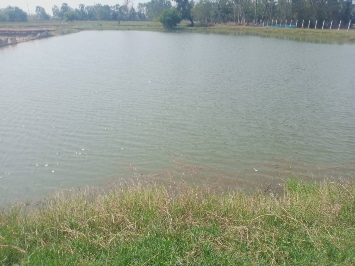 ถ่ายทอดความรู้ด้านการเพาะเลี้ยงสัตว์น้ำให้กับเกษตรกร ผู้เข้าร่วมโครงการส่งเสริมอาชีพประมง กิจกรรมส่งเสริมเกษตรเชิงรุกด้านการประมง (Zoning by Agri - Map)..คลิก