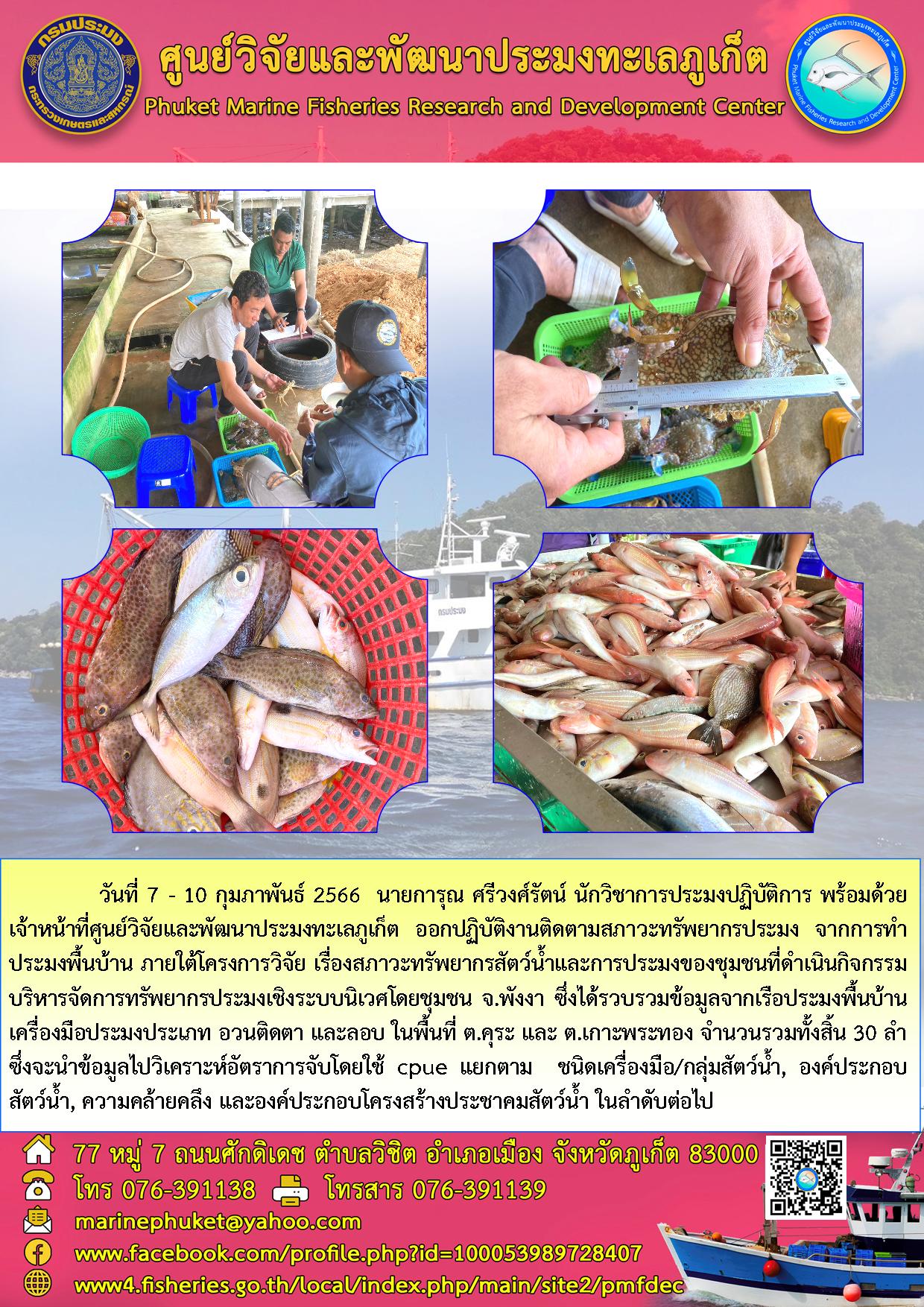 วันที่ 7 – 10 กุมภาพันธ์ 2566 นายการุณ ศรีวงศ์รัตน์ นักวิชาการประมงปฏิบัติการ พร้อมด้วยเจ้าหน้าที่ศูนย์วิจัยและพัฒนาประมงทะเลภูเก็ต ออกปฏิบัติงานติดตามสภาวะทรัพยากรประมงจากการทำประมงพื้นบ้าน ภายใต้โครงการวิจัย เรื่องสภาวะทรัพยากรสัตว์น้ำและการประมงของชุมชนที่ดำเนินกิจกรรมบริหารจัดการทรัพยากรประมงเชิงระบบนิเวศโดยชุมชน จ.พังงา ซึ่งได้รวบรวมข้อมูลจากเรือประมงพื้นบ้านเครื่องมือประมงประเภท อวนติดตา และลอบ ในพื้นที่ ต.คุระ และ ต.เกาะพระทอง จำนวนรวมทั้งสิ้น 30 ลำ ซึ่งจำนำข้อมูลไปวิเคราะห์อัตราการจับโดยใช้ cpue แยกตาม ชนิดเครื่องมือ/กลุ่มสัตว์น้ำ, องค์ประกอบสัตว์น้ำ, ความคล้ายคลึง และองค์ประกอบโครงสร้างประชาคมสัตว์น้ำ ในลำดับต่อไป..คลิก