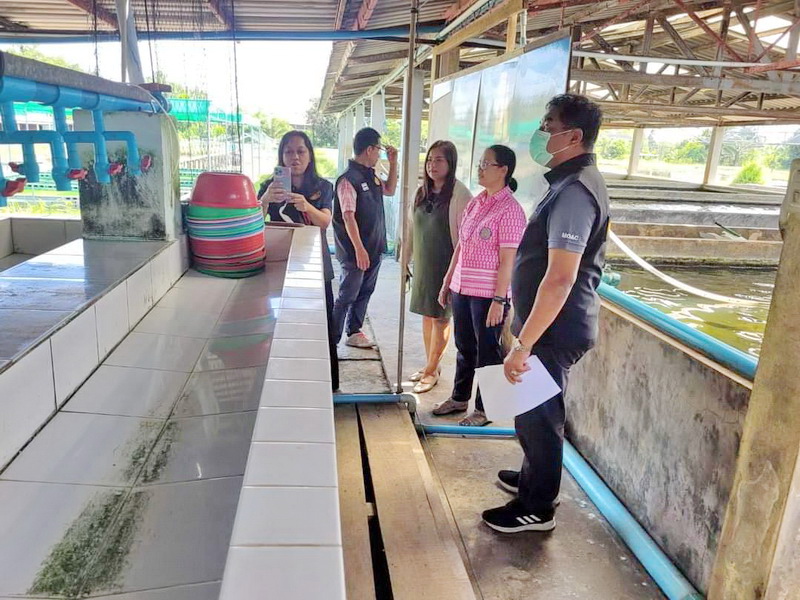 ฟังบรรยายและรับการตรวจติดตามการเพาะเลี้ยงสัตว์น้ำตามหลักพันธุศาสตร์..คลิก