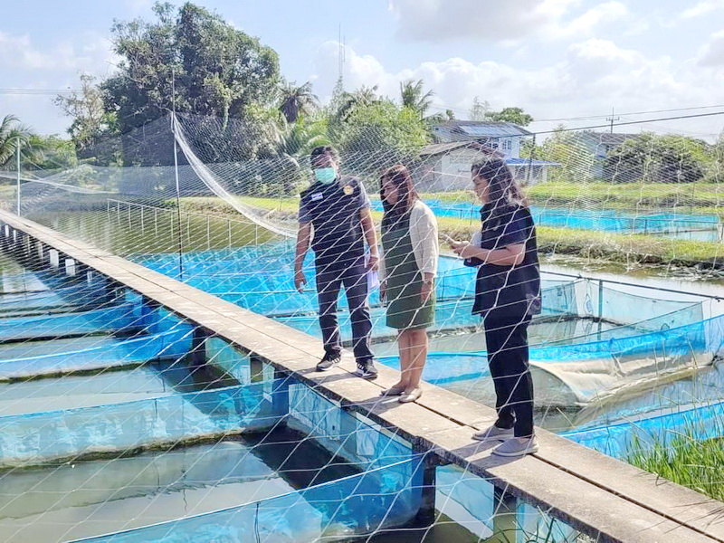 ฟังบรรยายและรับการตรวจติดตามการเพาะเลี้ยงสัตว์น้ำตามหลักพันธุศาสตร์