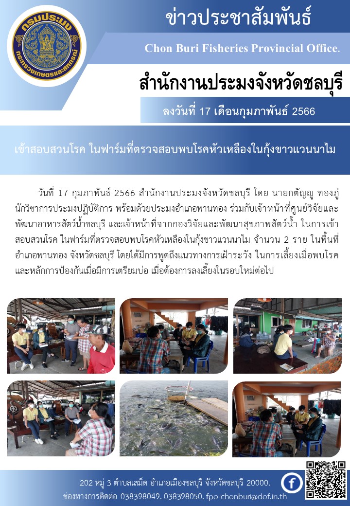 เข้าสอบสวนโรค ในฟาร์มที่ตรวจสอบพบโรคหัวเหลืองในกุ้งขาวแวนนาไม..คลิก