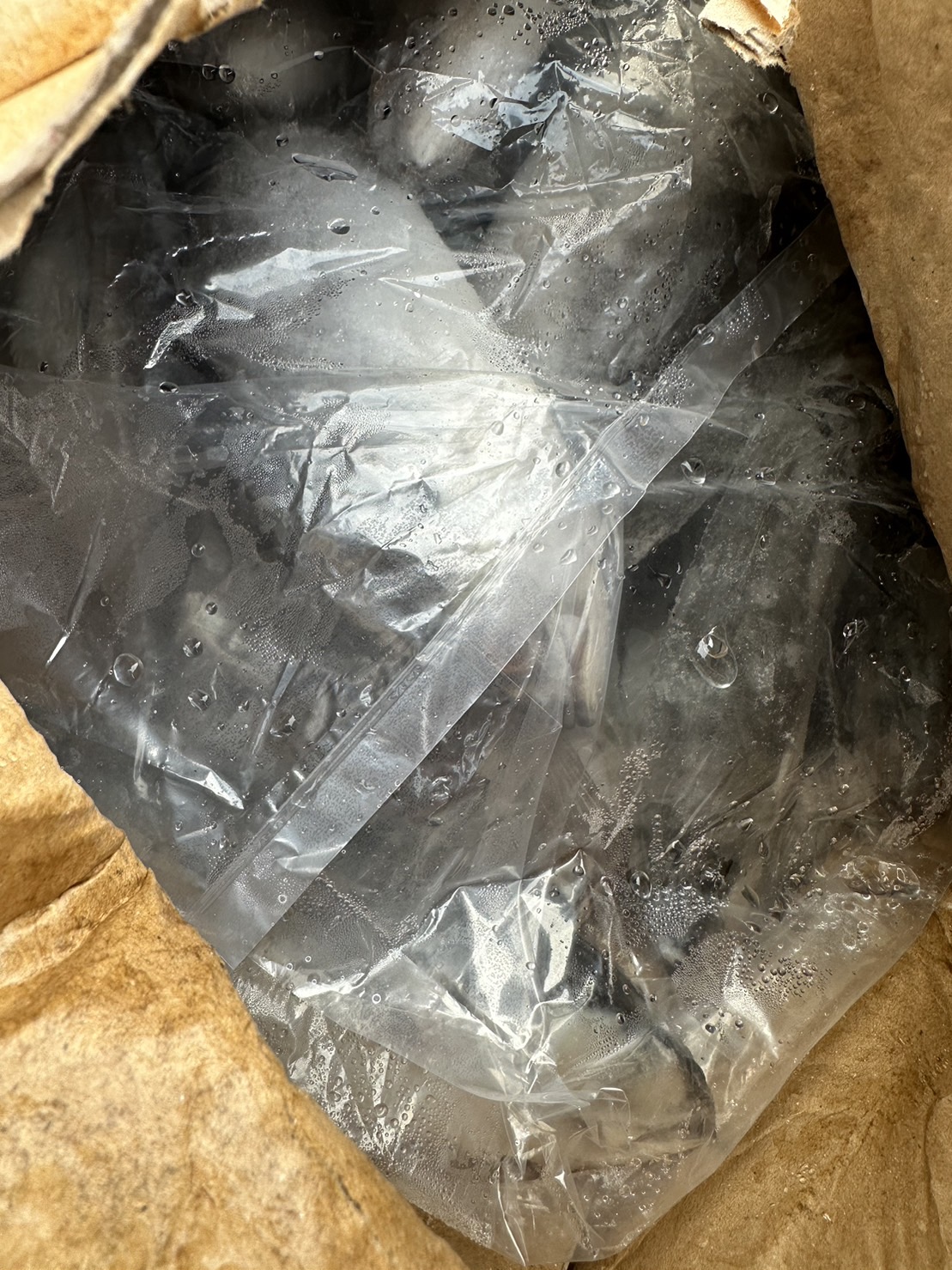 ผลการปฏิบัติงานด่านตรวจประมงสุรินทร์ วันที่ 19 กุมภาพันธ์ พ.ศ.2566 ณ จุดผ่านแดนถาวรช่องสะงำ..คลิก