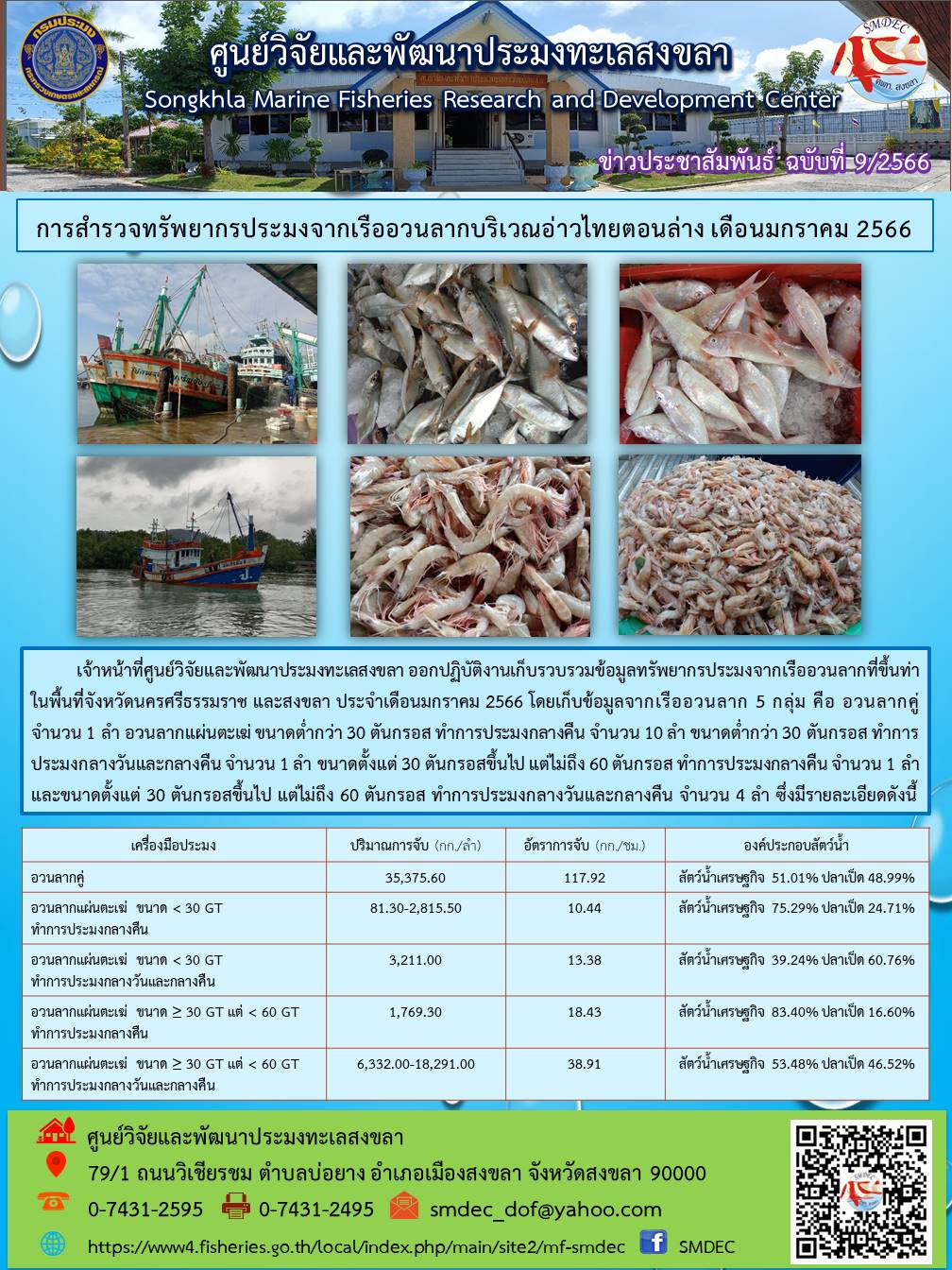 เจ้าหน้าที่ศูนย์วิจัยและพัฒนาประมงทะเลสงขลา ออกปฏิบัติงานเก็บรวบรวมข้อมูลทรัพยากรประมงจากเรืออวนลากที่ขึ้นท่าในพื้นที่จังหวัดนครศรีธรรมราช และสงขลา ประจำเดือนมกราคม 2566 โดยเก็บข้อมูลจากเรืออวนลาก 5 กลุ่ม คือ อวนลากคู่ จำนวน 1 ลำ อวนลากแผ่นตะเฆ่ ขนาดต่ำกว่า 30 ตันกรอส ทำการประมงค้างคืน จำนวน 10 ลำ ขนาดต่ำกว่า 30 ตันกรอส ทำการประมงกลางวันและกลางคืน จำนวน 1 ลำ ขนาดตั้งแต่ 30 ตันกรอสขึ้นไป แต่ไม่ถึง 60 ตันกรอส ทำการประมงกลางคืน จำนวน 1 ลำ และขนาดตั้งแต่ 30 ตันกรอสขึ้นไป แต่ไม่ถึง 60 ตันกรอส ทำการประมงกลางวันและกลางคืน จำนวน 4 ลำ ซึ่งมีรายละเอียดดังนี้..คลิก