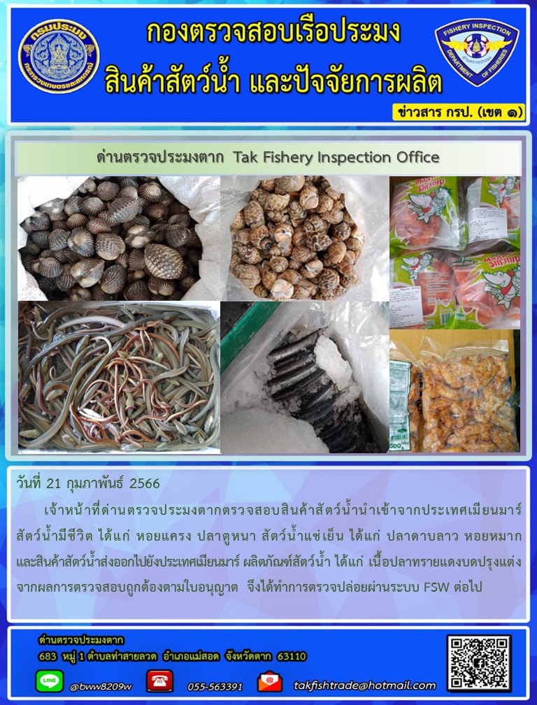 วันที่ 21 กุมภาพันธ์ 2566           เจ้าหน้าที่ด่านตรวจประมงตากตรวจสอบสินค้าสัตว์น้ำนำเข้าจากประเทศเมียนมาร์ สัตว์น้ำมีชีวิต ได้แก่ หอยแครง ปลาตูหนา สัตว์น้ำแช่เย็น ได้แก่ ปลาดาบลาว หอยหมาก และสินค้าสัตว์น้ำส่งออกไปยังประเทศเมียนมาร์ ผลิตภัณฑ์สัตว์น้ำ ได้แก่ เนื้อปลาทรายแดงบดปรุงแต่งจากผลการตรวจสอบถูกต้องตามใบอนุญาต  จึงได้ทำการตรวจปล่อยผ่านระบบ FSW ต่อไป..คลิก