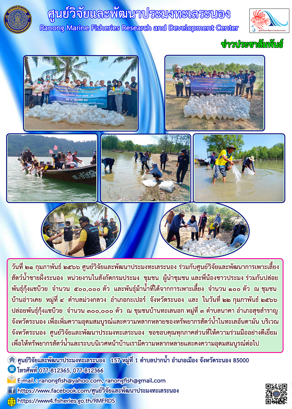 วันที่ 21 กุมภาพันธ์ 2566 ศูนย์วิจัยและพัฒนาประมงทะเลระนอง ร่วมกับศูนย์วิจัยและพัฒนาการเพาะเลี้ยงสัตว์น้ำชายฝั่งระยอง หน่วยงานในสังกัดกรมประมง ชุมชน ผู้นำชุมชน ผู้นำชุมชน และพี่น้องชาวประมง ร่วมกันปล่อยพันธุ์กุ้งแชบ๊วย จำนวน 500,000 ตัว และพันธุ์ม้าน้ำที่ได้จากการเพาะเลี้ยง จำนวน 100 ตัว ณ ชุมชนบ้านอ่าวเคย หมู่ที่ 4 ตำบลม่วงกลาง อำเภอกะเปอร์ จังหวัดระนอง และ ในวันที่ 22 กุมภาพันธ์ 2566 ปล่อยกุ้งแชบ๊วย จำนวน 300,000 ตัว ณ ชุมชนบ้านทะเลนอก หมู่ที่ 3 ตำบลนาคา อำเภอสุขสำราญ จังหวัดระนอง เพื่อเพิ่มความอุดมสมบูรณ์และความหลากหลายของทรัพยากรสัตว์น้ำในทะเลอันดามัน บริเวณจังหวัดระนอง ศูนย์วิจัยและพัฒนาประมงทะเลระนอง ขอขอบคุณทุกภาคส่วนที่ให้ความร่วมมืออย่างดีเยี่ยมเพื่อให้ทรัพยากรสัตว์น้ำและระบบนิเวศหน้าบ้านเรามีความหลากหลายและคงความอุดมสมบูรณ์ต่อไป..คลิก