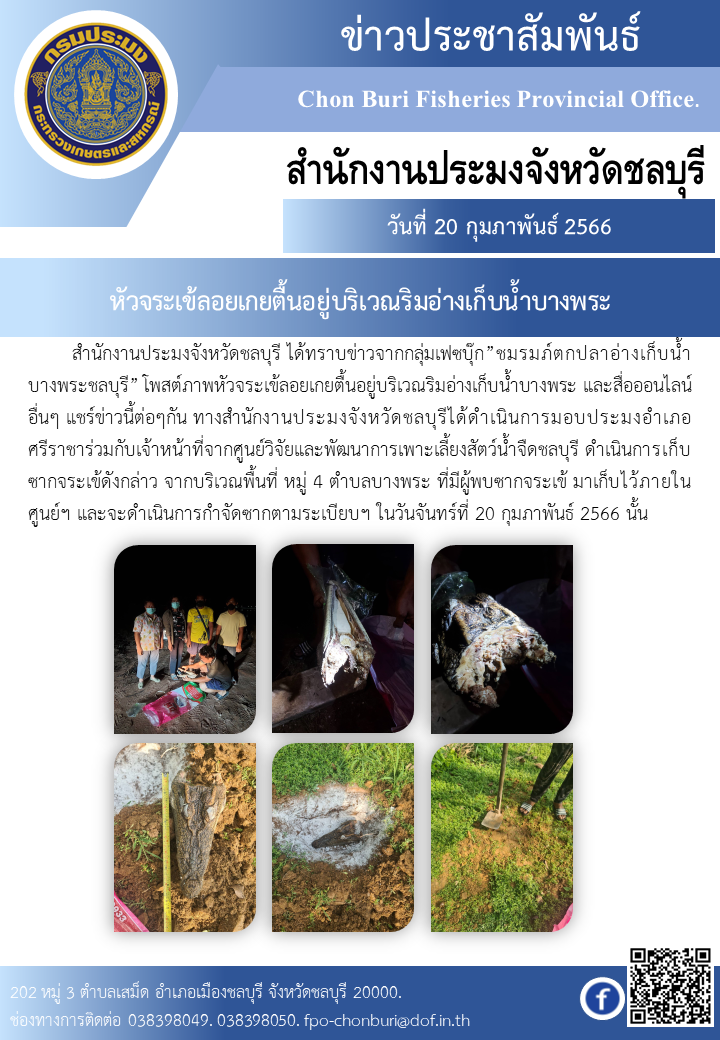 ตรวจสอบหัวจระเข้เกยตื้นบริเวณอ่างเก็บน้ำบางพระ..คลิก