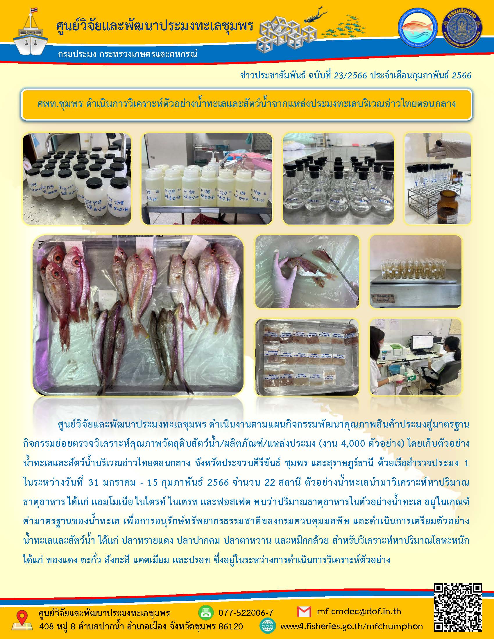 ศูนย์วิจัยและพัฒนาประมงทะเลชุมพร ดำเนินงานตามแผนกิจกรรมพัฒนาคุณภาพสินค้าประมงสู่มาตรฐานกิจกรรมย่อยตรวจวิเคราะห์คุณภาพวัตถุดิบสัตว์น้ำ/ผลิตภัณฑ์/แหล่งประมง (งาน 4,000 ตัวอย่าง) โดยเก็บตัวอย่างน้ำทะเลและสัตว์น้ำบริเวณอ่าวไทยตอนกลาง จังหวัดประจวบคีรีขันธ์ ชุมพร และสุราษฎร์ธานี ด้วยเรือสำรวจประมง 1 ในระหว่างวันที่ 31 มกราคม – 15 กุมภาพันธ์ 2566 จำนวน 22 สถานี ตัวอย่างน้ำทะเลนำมาวิเคราะห์หาปริมาณ ธาตุอาหาร ได้แก่ แอมโมเนีย ไนไตรท์ ไนเตรท และฟอสเฟส พบว่าธาตุอาหารในตัวอย่างน้ำทะเล อยู่ในเกณฑ์ค่ามาตรฐานของน้ำทะเลและสัตว์น้ำ ได้แก่ ปลาทรายแดง ปลาปากคม ปลาตาหวาน และหมึกกล้วย สำหรับวิเคราะห์หาปริมาณโลหะหนัก ได้แก่ ทองแดง ตะกั่ว สังกะสี แคดเมียม และปรอท ซึ่งอยู่ในระหว่างการดำเนินการวิเคราะห์ตัวอย่าง..คลิก