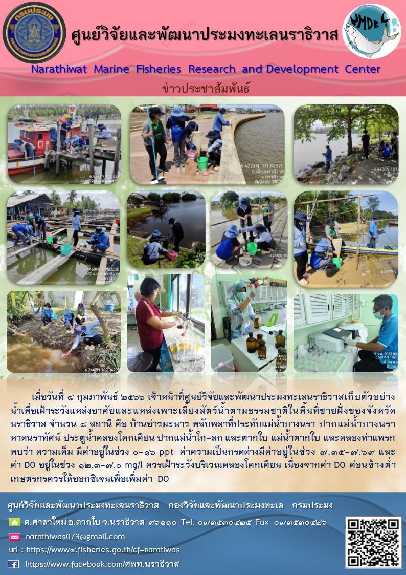 เมื่อวันที่ 8 กุมภาพันธ์ 2566 เจ้าหน้าที่ศูนย์วิจัยและพัฒนาประมงทะเลนราธิวาสเก็บตัวอย่างน้ำเพื่อเฝ้าระวังแหล่งอาศัยและแหล่งเพาะเลี้ยงสัตว์น้ำตามธรรมชาติในพื้นที่ชายฝั่งของจังหวัดนราธิวาส จำนวน 8 สถานี คือ บ้านอ่าวมะนาว พลับพลาที่ประทับแม่น้ำบางนรา ปากแม่น้ำบางนรา หาดนราทัศน์ ประตูน้ำคลองโคกเคียน ปากแม่น้ำโก-ลก และตากใบ แม่น้ำตากใบ และคลองท่าแพรกพบว่า ความเค็ม มีค่าอยู่ในช่วง 12.3-7.0 mg/l ควรเฝ้าระวังบริเวณคลองโคกเคียน เนื่องจากค่า DO ค่อนข้างต่ำเกษตรกรควรให้ออกซิเจนเพื่อเพิ่มค่า DO..คลิก