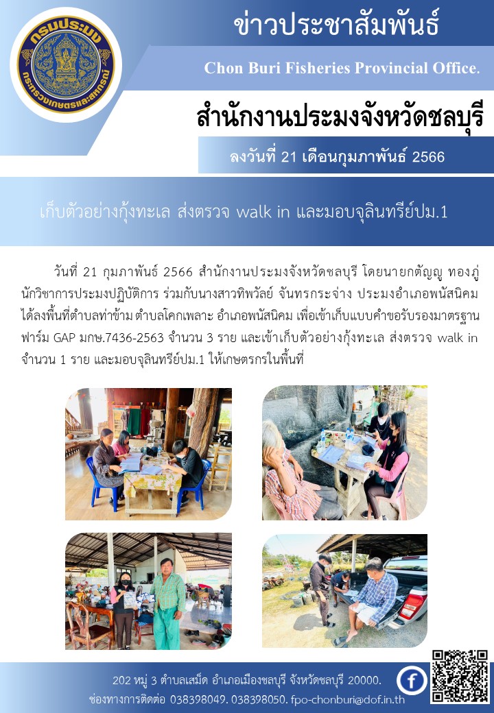 เก็บตัวอย่างกุ้งทะเล ส่งตรวจ walk in และมอบจุลินทรีย์ ปม.1..คลิก