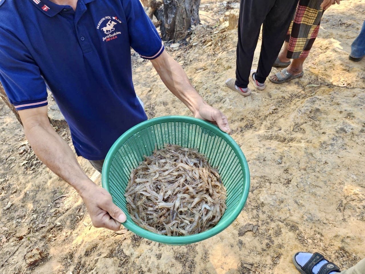 ปล่อยพันธุ์สัตว์น้ำ (กุ้งก้ามกราม)ในโครงการเพิ่มผลผลิตสัตว์น้ำเศรษฐกิจที่มีมูลค่าสูงเพื่อสร้างรายได้ จำนวน 5 แหล่งน้ำ ประจำปีงบประมาณ 2566..คลิก
