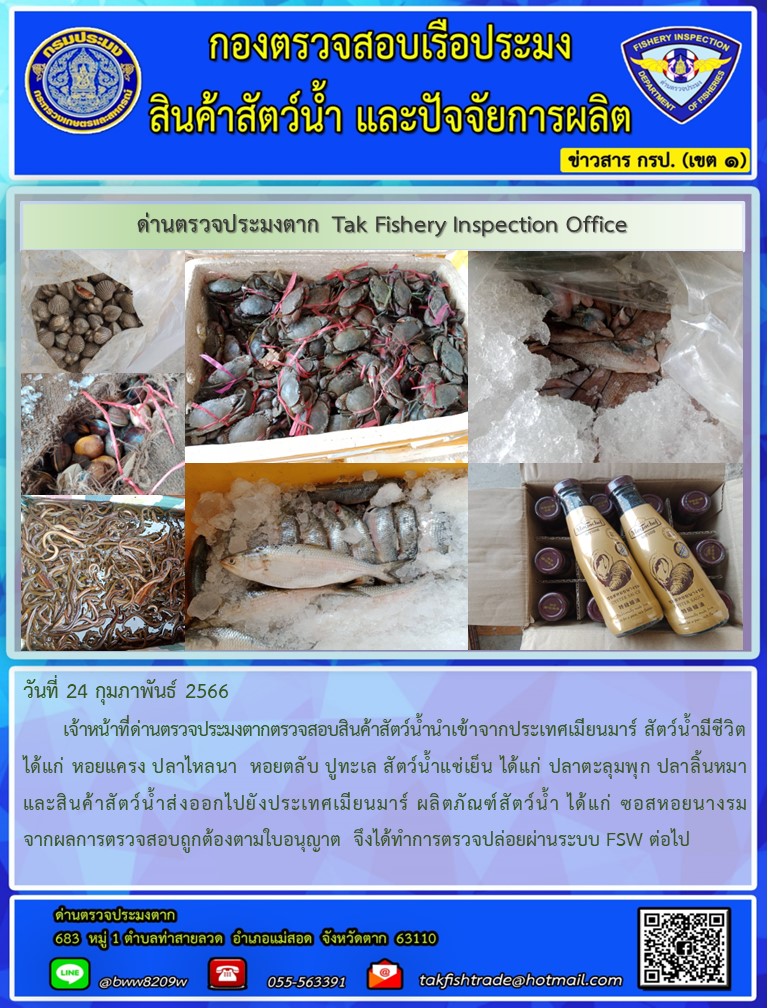 วันที่ 24 กุมภาพันธ์ 2566           เจ้าหน้าที่ด่านตรวจประมงตากตรวจสอบสินค้าสัตว์น้ำนำเข้าจากประเทศเมียนมาร์ สัตว์น้ำมีชีวิต ได้แก่ หอยแครง ปลาไหลนา  หอยตลับ ปูทะเล สัตว์น้ำแช่เย็น ได้แก่ ปลาตะลุมพุก ปลาลิ้นหมา และสินค้าสัตว์น้ำส่งออกไปยังประเทศเมียนมาร์ ผลิตภัณฑ์สัตว์น้ำ ได้แก่ ซอสหอยนางรมจากผลการตรวจสอบถูกต้องตามใบอนุญาต  จึงได้ทำการตรวจปล่อยผ่านระบบ FSW ต่อไป..คลิก