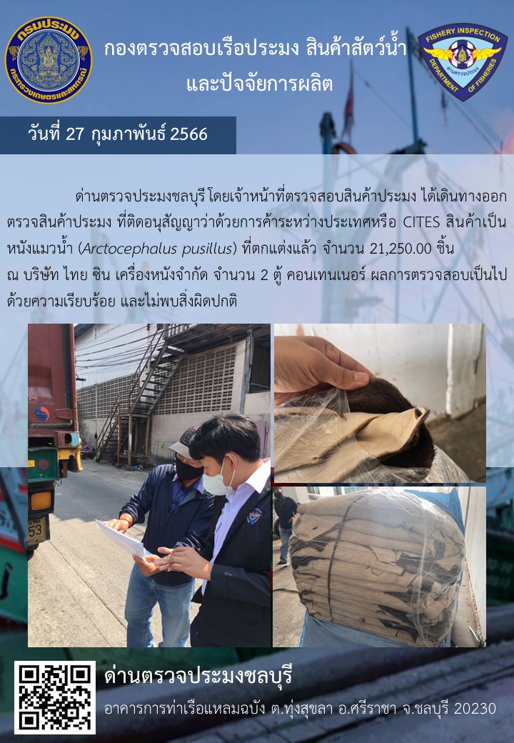การปฏิบัติงานของเจ้าหน้าที่ด่านตรวจประมงชลบุรีประจำวันที่ ๒๗ กุมภาพันธุ์ ๒๕๖๖..คลิก