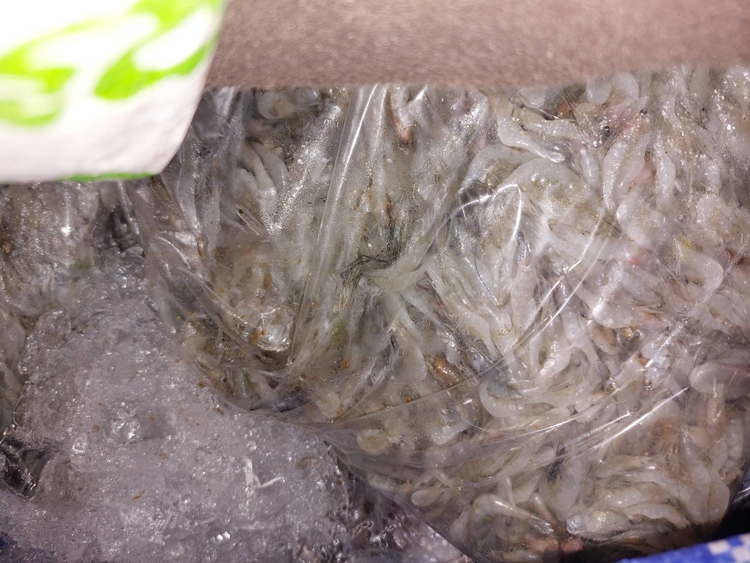 ผลการปฏิบัติงานด่านตรวจประมงสุรินทร์ วันที่ 2 มีนาคม พ.ศ.2566 ณ จุดผ่านแดนถาวรช่องจอม..คลิก