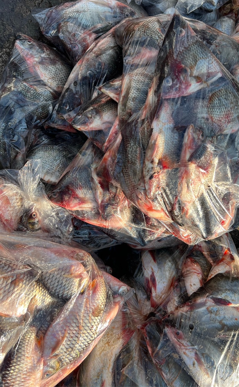 ผลการปฏิบัติงานด่านตรวจประมงสุรินทร์ วันที่ 2 มีนาคม พ.ศ.2566 ณ จุดผ่านแดนถาวรช่องสะงำ..คลิก