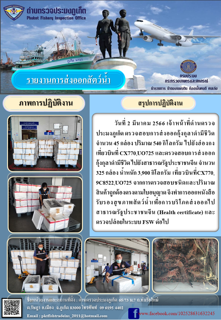 วันที่ 2 มีนาคม 2566 เจ้าหน้าที่ด่านตรวจประมงภูเก็ต ตรวจสอบการส่งออกกุ้งกุลาดำชีวิต จำนวน 45 กล่อง ปริมาณ 540 กิโลกรัม ไปยังฮ่องกง เที่ยวบินที่ CX770, UO725 และตรวจสอบการส่งออกกุ้งกุลาดำมีชีวิต ไปยังสาธารณรัฐประชาชนจีน จำนวน 325 กล่อง น้ำหนัก 3,900 กิโลกรัม เที่ยวบินที่ CX770, 9C8522, UO725 จากการตรวจสอบชนิดและปริมาณสินค้าถูกต้องตรงตามใบอนุญาต จึงทำการออกหนังสือรับรองสุขภาพสัตว์น้ำเพื่อการบริโภคส่งออกไปยังสาธารณรัฐประชาชนจีน (Health certificate) และตรวจปล่อยในระบบ FSW ต่อไป..คลิก