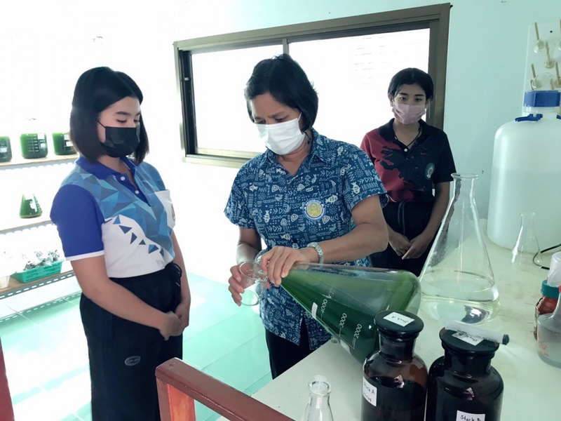 ฝึกปฏิบัติการเพาะเลี้ยงอาหารมีชีวิต