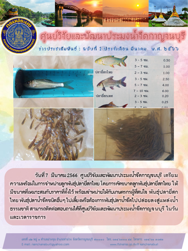พร้อมจำหน่ายพันธุ์ปลายี่สกไทย ให้กับเกษตรกรผู้ที่สนใจ..คลิก