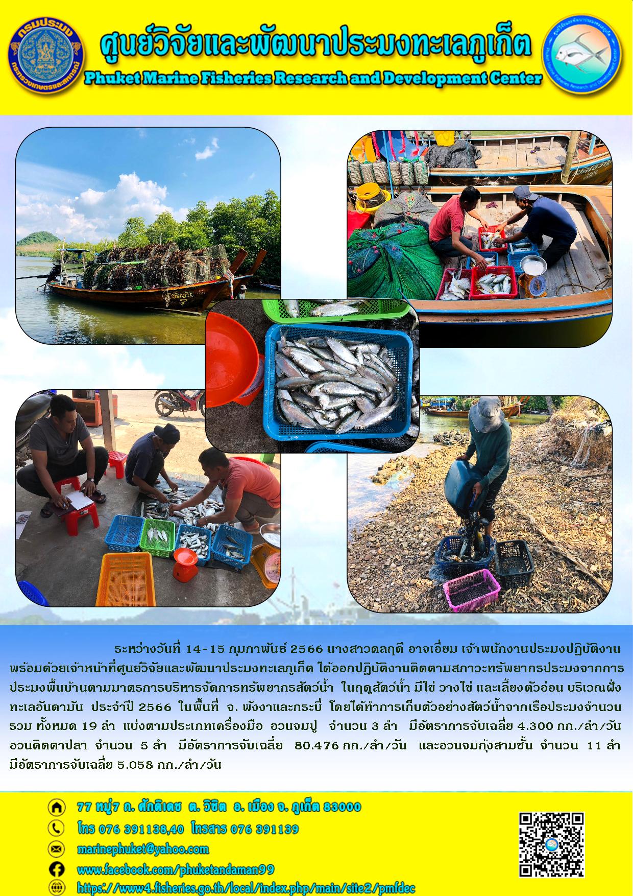 ระหว่างวันที่ 14-15 กุมภาพันธ์ 2566 นางสาวดลฤดี อาจเอี่ยม เจ้าพนักงานประมงปฏิบัติงานพร้อมด้วยเจ้าหน้าที่ศูนย์วิจัยและพัฒนาประมงทะเลภูเก็ต ได้ออกปฏิบัติงานติดตามสภาวะทรัพยากรประมงจากการประมงพื้นบ้านตามมาตรการบริหารจัดการทรัพยากรสัตว์น้ำ ในฤดูสัตว์น้ำ มีไข่ วางไข่ และเลี้ยงตัวอ่อน บริเวณฝั่งทะเลอันดามัน ประจำปี 2566 ในพื้นที่ จ.พังงาและกระบี่ โดยได้ทำการเก็บตัวอย่างสัตว์น้ำจากเรือประมงจำนวนรวม ทั้งหมด 19 ลำ แบ่งตามประเภทเครื่องมืออวนจมปู จำนวน 3 ลำ มีอัตราการจับเฉลี่ย 4.300 กก./ลำ/วัน อวนติดตาปลา จำนวน 5 ลำ มีอัตราการจับเฉลี่ย 80.476 กก./ลำ/วัน และอวนจมกุ้งสามชั้น จำนวน 11 ลำ มีอัตราการจับเฉลี่ย 5.058 กก./ลำ/วัน..คลิก