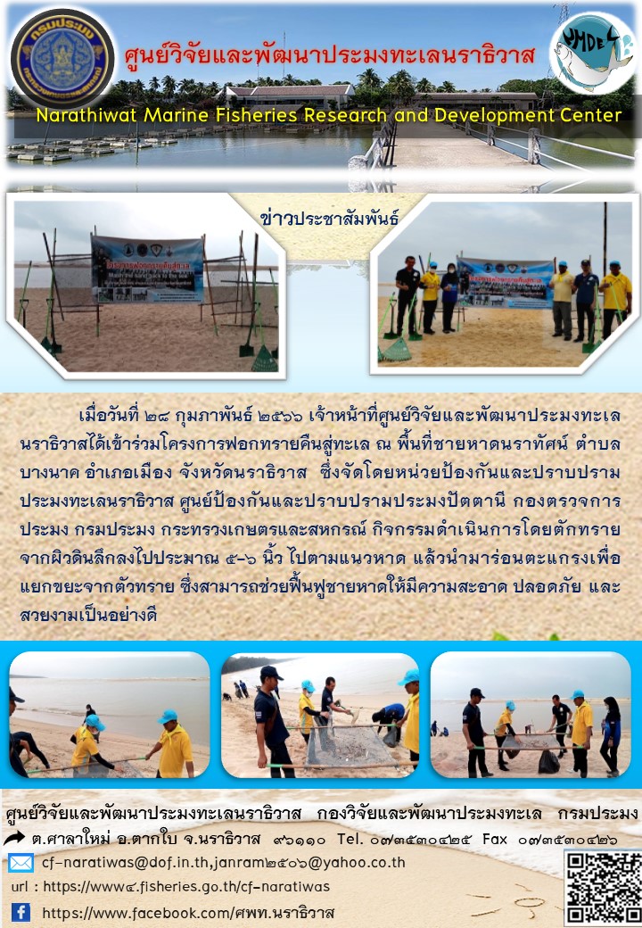เมื่อวันที่ 28 กุมภาพันธ์ 2566 เจ้าหน้าที่ศูนย์วิจัยและพัฒนาประมงทะเลนราธิวาสได้เข้าร่วมโครงการฟอกทรายคือสู่ทะเล ณ พื้นที่ชายหาดนราทัศน์ ตำบลบางนาค อำเภอเมือง จังหวัดนราธิวาส ซึ่งจัดโดยหน่วยป้องกันและปราบปรามประมงปัตตานี กองตรวจการประมง กรมประมง กระทรวงเกษตรและสหกรณ์ กิจกรรมดำเนินการโดยตักทรายจากผิวดินลึกลงไปประมาณ 5-6 นิ้ว ไปตามแนวหาด แล้วนำมาร่อนตะแกรงเพื่อแยกขยะจากตัวทราย  ซึ่งสามารถช่วยฟื้นฟูชายหาดให้มีความสะอาด ปลอดภัย และสวยงามเป็นอย่างดี..คลิก