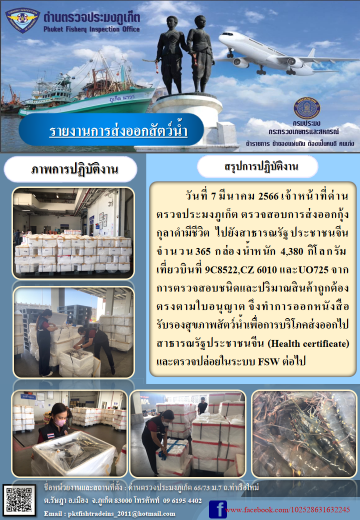 วันที่ 7 มีนาคม 2566 เจ้าหน้าที่ด่านตรวจประมงภูเก็ต ตรวจสอบการส่งออกกุ้งกุลาดำมีชีวิต ไปยังสาธารณรัฐประชาชนจีน จำนวน 365 กล่อง น้ำหนัก 4,380 กิโลกรัม เที่ยวบินที่ 9C8522, CZ6010 และ UO725 จากการตรวจสอบชนิดและปริมาณสินค้าถูกต้องตรงตามใบอนุญาต จึงทำการออกหนังสือรับรองสุขภาพสัตว์น้ำเพื่อการบริโภคส่งออกไปสาธารณรัฐประชาชนจีน (Health certificate) และตรวจปล่อยในระบบ FSW ต่อไป..คลิก