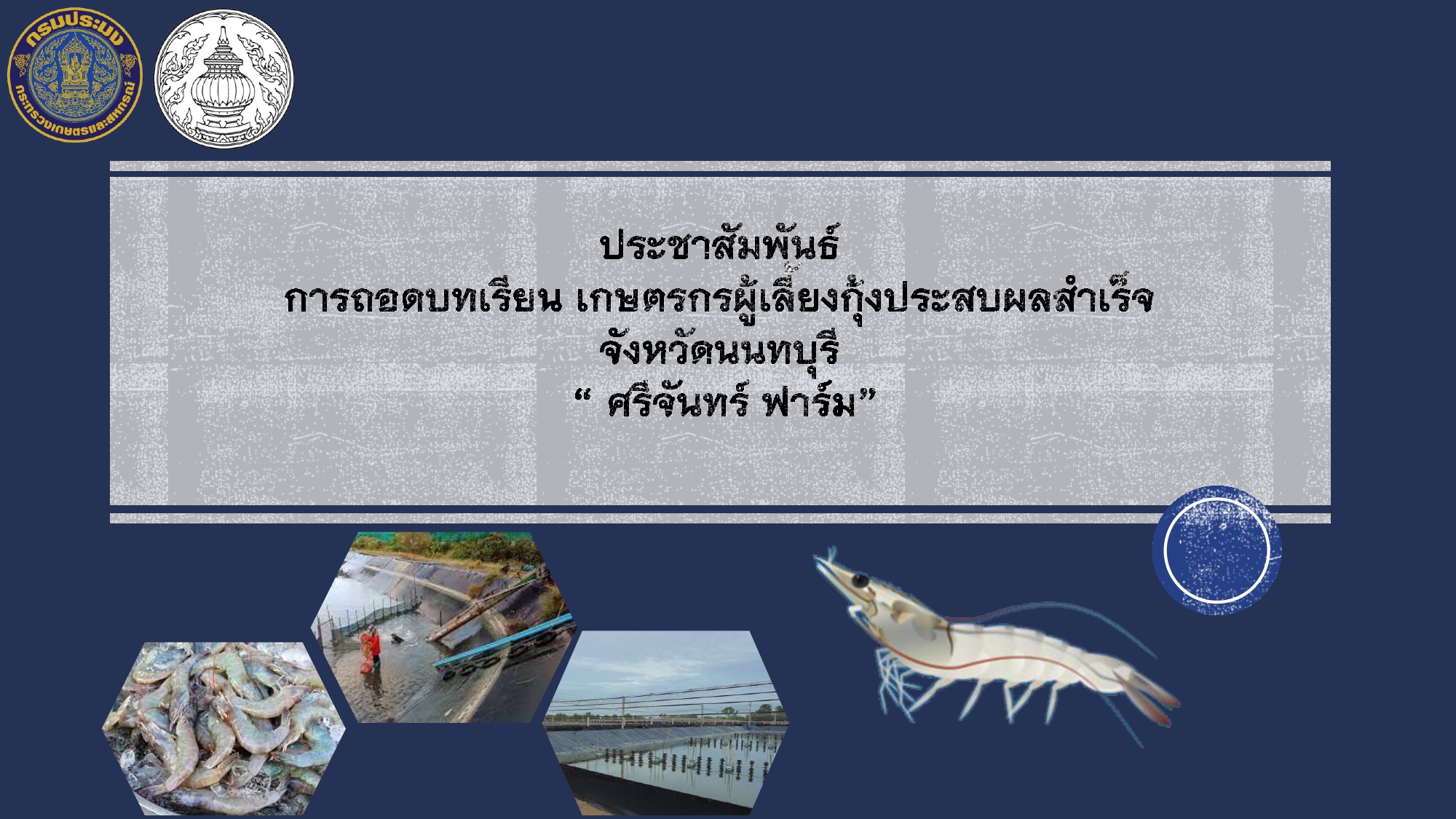 ประชาสัมพันธ์ : การถอดบทเรียน เกษตรกรผู้เลี้ยงกุ้งประสบผลสำเร็จ จังหวัดนนทบุรี..คลิก