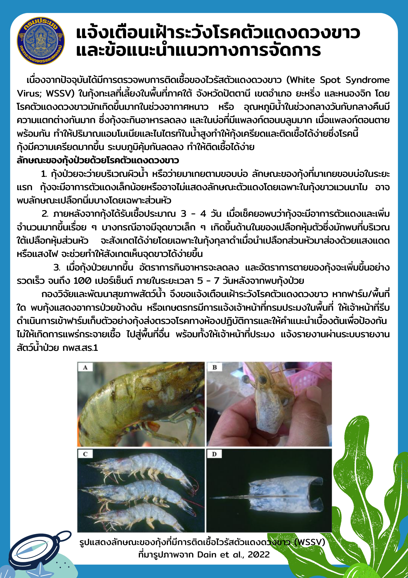 แจ้งเตือนเกษตรกรเฝ้าระวังโรคตัวแดงดวงขาวและข้อแนะนำแนวทางการจัดการโรคเพื่อป้องกันและควบคุมการแพร่ กระจายของโรค..คลิก