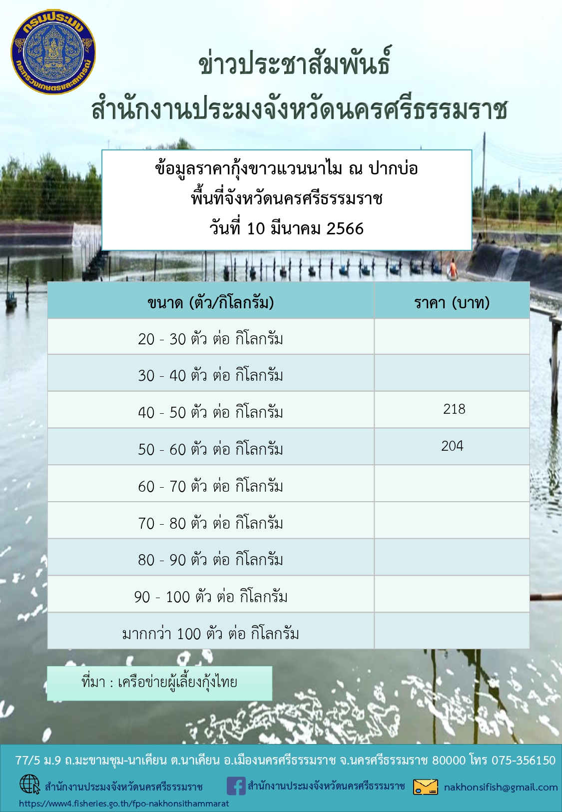 ราคากุ้งขาวแวนนาไม ณ ปากบ่อ พื้นที่จังหวัดนครศรีธรรมราช วันที่ 10 มีนาคม 2566..คลิก