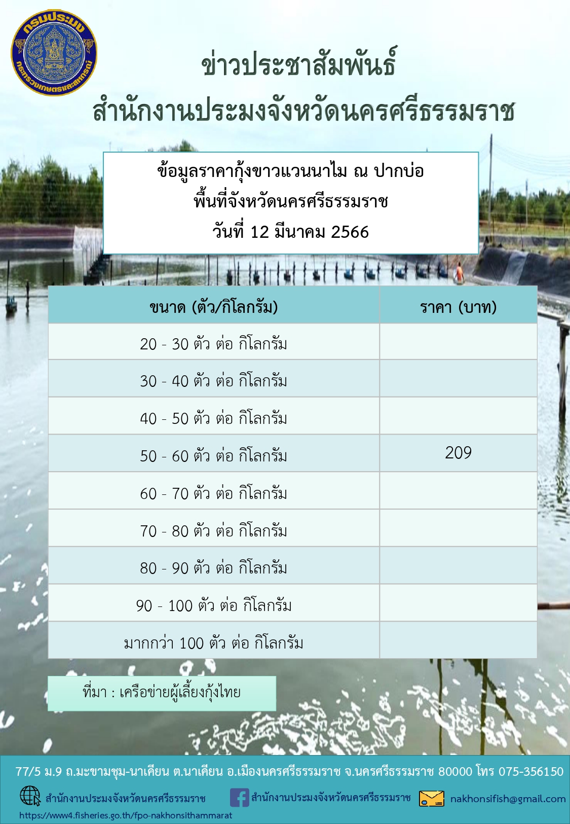 ราคากุ้งขาวแวนนาไม ณ ปากบ่อ พื้นที่จังหวัดนครศรีธรรมราช วันที่ 12 มีนาคม 2566..คลิก