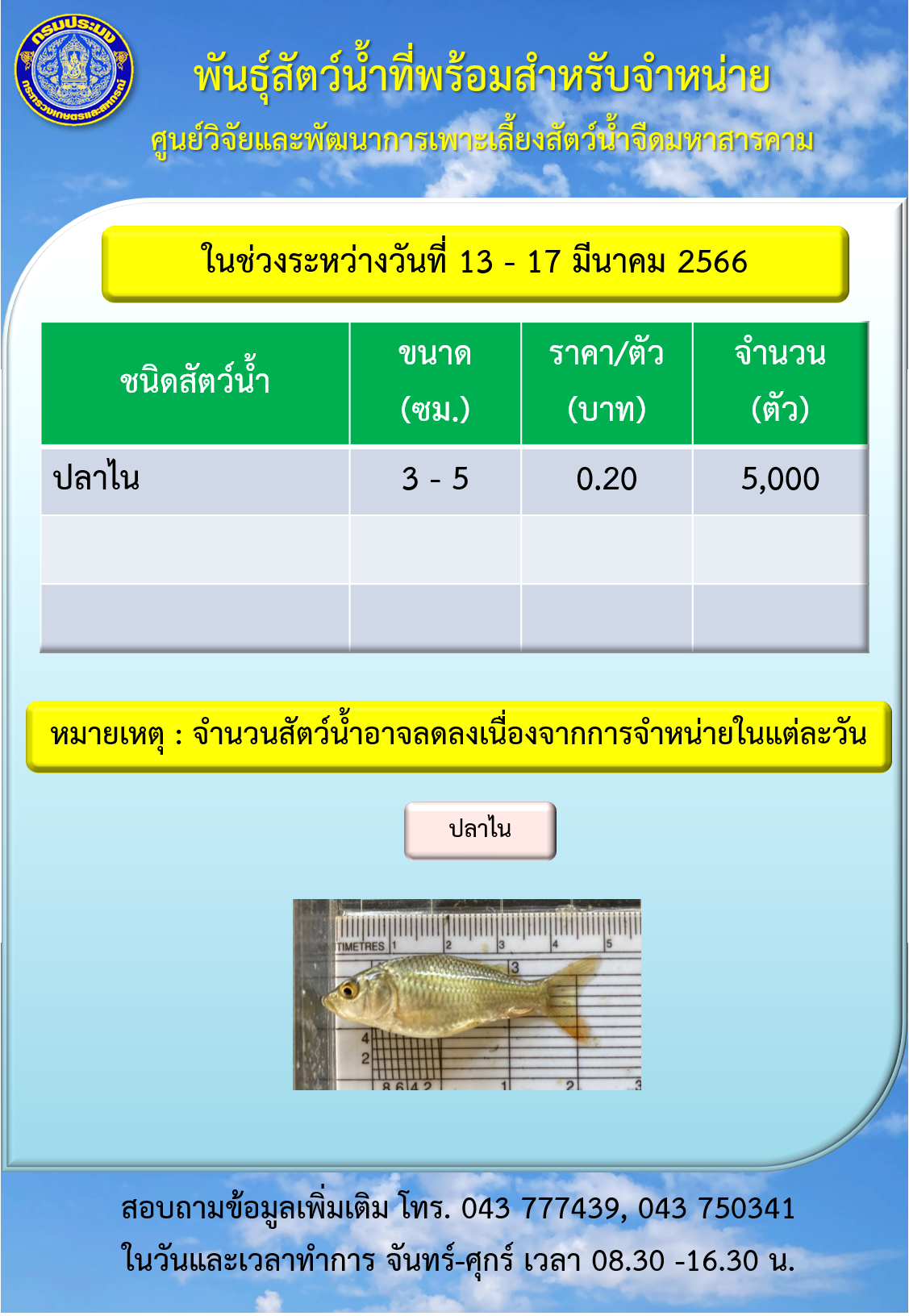 พันธุ์สัตว์น้ำที่พร้อมสำหรับจำหน่ายในช่วงระหว่างวันที่ 13 - 17 มีนาคม 2566..คลิก