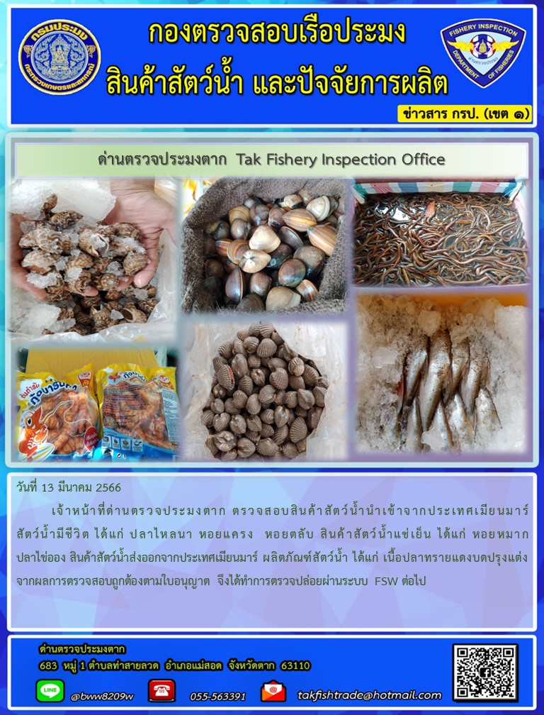 วันที่ 13 มีนาคม 2566  เจ้าหน้าที่ด่านตรวจประมงตาก ตรวจสอบสินค้าสัตว์น้ำนำเข้าจากประเทศเมียนมาร์ สัตว์น้ำมีชีวิต ได้แก่ ปลาไหลนา หอยแครง  หอยตลับ สินค้าสัตว์น้ำแช่เย็น ได้แก่ หอยหมากปลาไข่ออง สินค้าสัตว์น้ำส่งออกจากประเทศเมียนมาร์ ผลิตภัณฑ์สัตว์น้ำ ได้แก่ เนื้อปลาทรายแดงบดปรุงแต่ง จากผลการตรวจสอบถูกต้องตามใบอนุญาต จึงได้ทำการตรวจปล่อยผ่านระบบ FSW ต่อไป..คลิก