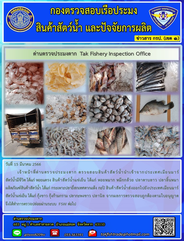 วันที่ 15 มีนาคม 2566           เจ้าหน้าที่ด่านตรวจประมงตาก ตรวจสอบสินค้าสัตว์น้ำนำเข้าจากประเทศเมียนมาร์ สัตว์น้ำมีชีวิต ได้แก่ หอยแครง สินค้าสัตว์น้ำแช่เย็น ได้แก่ หอยหมาก หมึกกล้วย ปลาดาบลาว ปลาลิ้นหมา ผลิตภัณฑ์สินค้าสัตว์น้ำ ได้แก่ กระเพาะปลายี่สกเทศตากแห้ง กะปิ สินค้าสัตว์น้ำส่งออกไปยังประเทศเมียนมาร์สัตว์น้ำแช่เย็น ได้แก่ กุ้งขาว กุ้งก้ามกราม ปลากะพงขาว ปลานิล จากผลการตรวจสอบถูกต้องตามใบอนุญาตจึงได้ทำการตรวจปล่อยผ่านระบบ FSW ต่อไป..คลิก