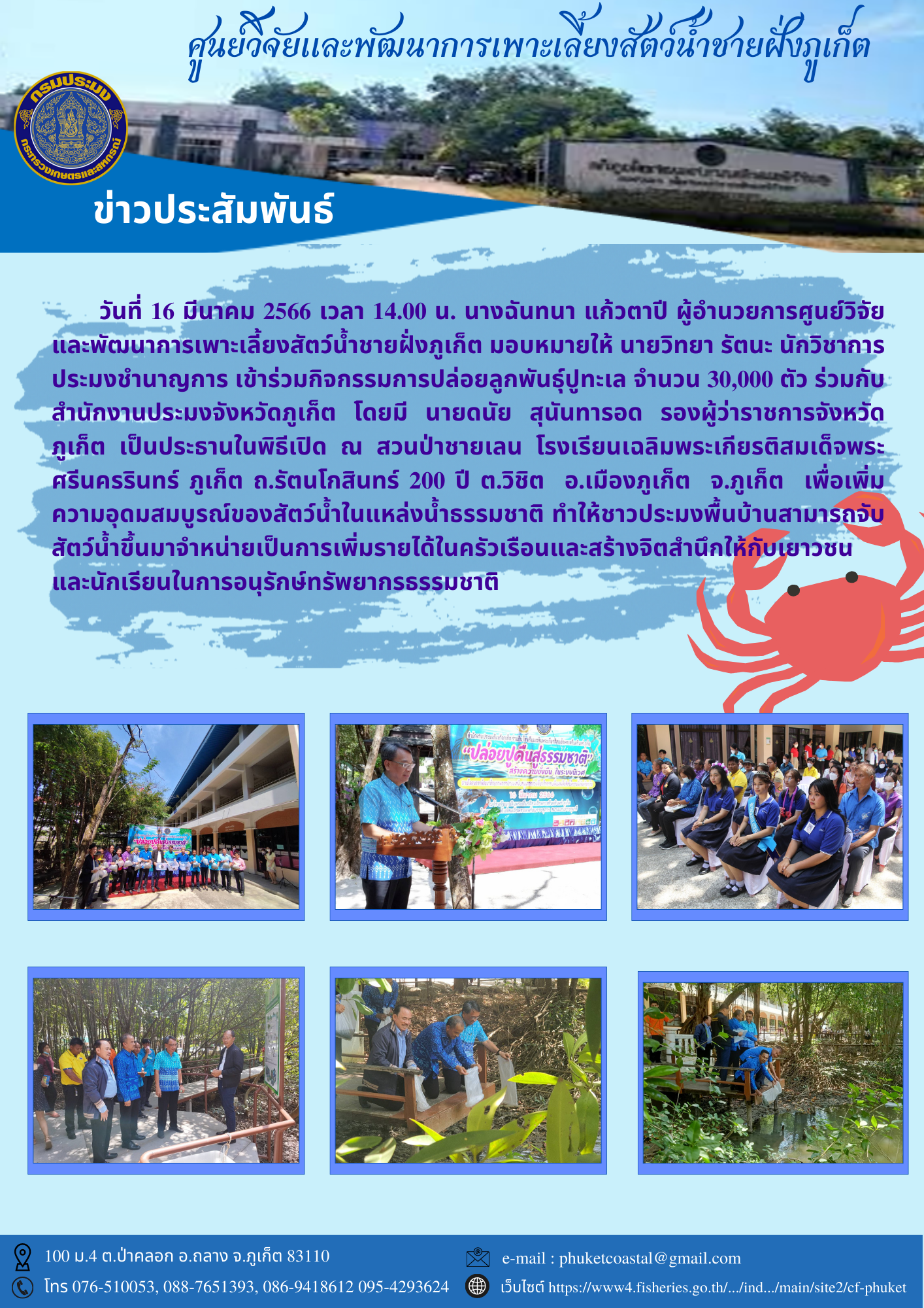วันที่ 16 มีนาคม 2566 เวลา 14.00 น. นางฉันทนา แก้วตาปี ผู้อำนวยการศูนย์วิจัยและพัฒนาการเพาะเลี้ยงสัตว์น้ำชายฝั่งภูเก็ต มอบหมายให้ นายวิทยา รัตนะ นักวิชาการประมงชำนาญการ เข้าร่วมกิจกรรมการปล่อยลูกพันธุ์ปูทะเล จำนวน 30,000 ตัว..คลิก