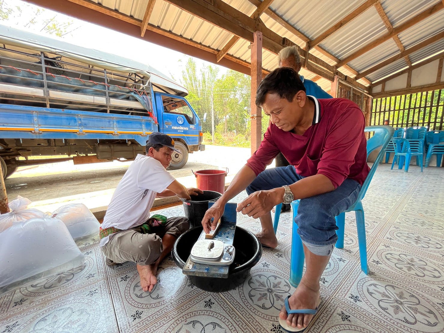 ข่าวประชาสัมพันธ์ประจำวันที่ 15 มีนาคม 2566 ศูนย์วิจัยและพัฒนาการเพาะเลี้ยงสัตว์น้ำจืดศรีสะเกษ ฉบับที่ 35