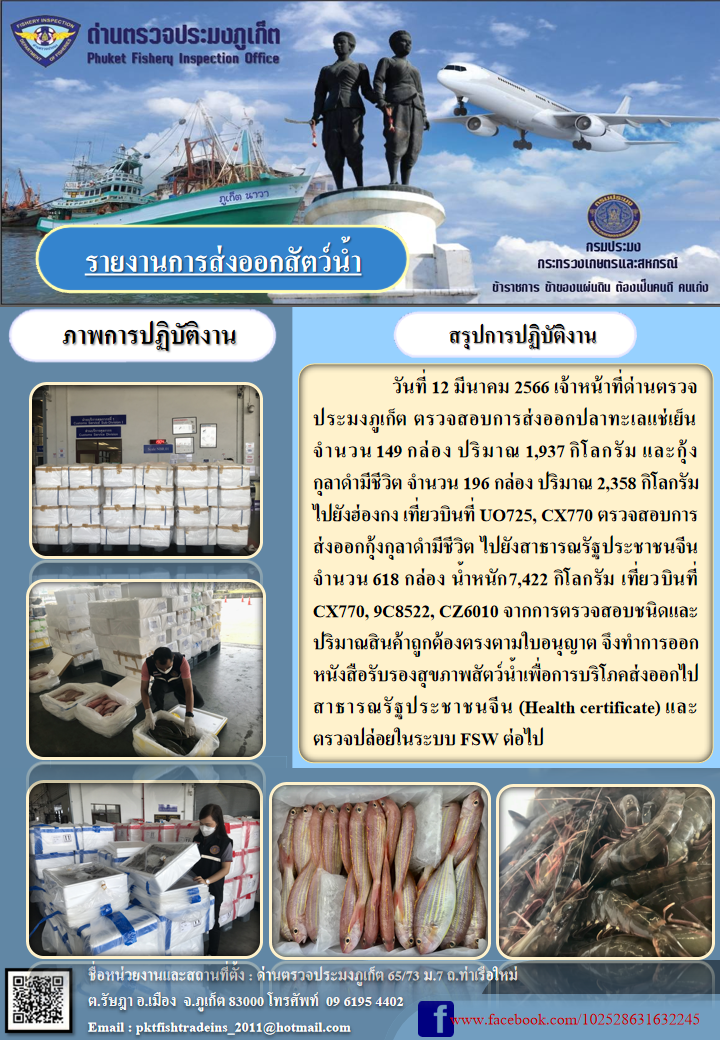 วันที่ 12 มีนาคม 2566 เจ้าหน้าที่ด่านตรวจประมงภูเก็ต ตรวจสอบการส่งออกปลาทะเลแช่เย็น จำนวน 149 กล่อง ปริมาณ 1,937 กิโลกรัม และกุ้งกุลาดำมีชีวิต จำนวน 196 กล่อง ปริมาณ 2,358 กิโลกรัม ไปยังฮ่องกง เที่ยวบินที่ UO765, CX770 ตรวจสอบการส่งออกกุ้งกุลาดำมีชีวิต ไปยังสาธารณรัฐประชาชนจีน จำนวน 618 กล่อง น้ำหนัก 7,422 กิโลกรัม เที่ยวบินที่ CX770, 9C8522,CZ6010 จากการตรวจสอบชนิดและปริมาณสินค้าถูกต้องตามใบอนุญาต จึงทำการออกหนังสือรับรองสุขภาพสัตว์น้ำเพื่อการบริโภคส่งออกไปสาธารณรัฐประชาชนจีน (Health certificate) และตรวจปล่อยในระบบ FSW ต่อไป..คลิก