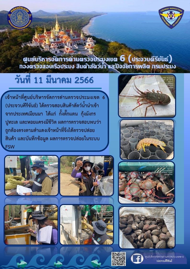 ตรวจสอบสินค้าสัตว์น้ำนำเข้าจากประเทศเมียนมา..คลิก