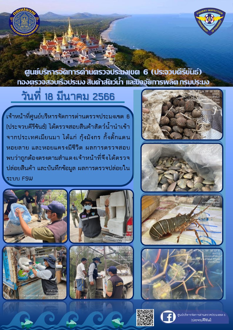 ตรวจสอบสินค้าสัตว์น้ำนำเข้าจากประเทศเมียนมา..คลิก