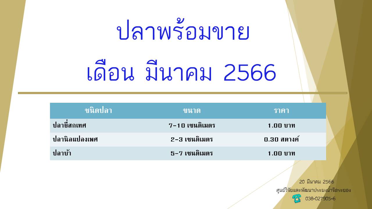 ปลาพร้อมขาย วันที่ 20 มีนาคม 2566