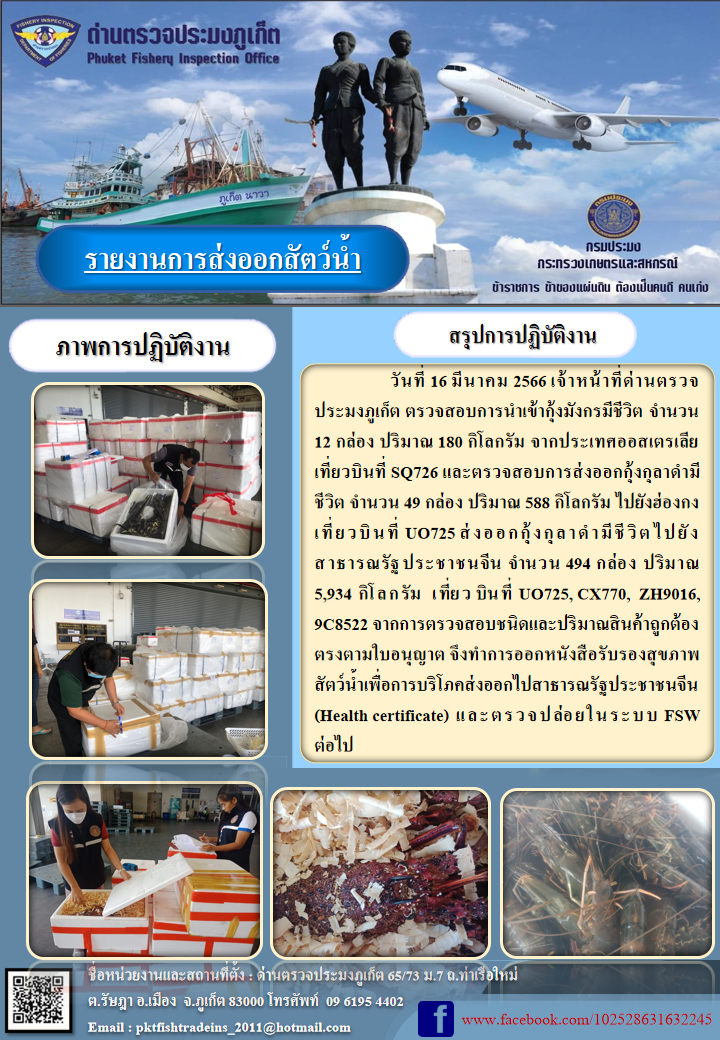 วันที่ 16 มีนาคม 2566 เจ้าหน้าที่ด่านตรวจประมงภูเก็ต ตรวจสอบการนำเข้ากุ้งมังกรมีชีวิต จำนวน 12 กล่อง ปริมาณ 180 กิโลกรัม จากประเทศออสเตรเลีย เที่ยวบินที่ SQ726 และตรวจสอบการส่งออกกุ้งกุลาดำมีชีวิต จำนวน 49 กล่อง ปริมาณ 588 กิโลกรัม ไปยังฮ่องกง เที่ยวบินที่ UO725 ส่งออกกุ้งกุลาดำมีชีวิต ไปยังสาธารณรัฐประชาชนจีน จำนวน 494 กล่อง น้ำหนัก 5,934 กิโลกรัม เที่ยวบินที่ UO725, CX770, ZH9016, 9C8522 จากการตรวจสอบชนิดและปริมาณสินค้าถูกต้องตามใบอนุญาต จึงทำการออกหนังสือรับรองสุขภาพสัตว์น้ำเพื่อการบริโภคส่งออกไปสาธารณรัฐประชาชนจีน (Health certificate) และตรวจปล่อยในระบบ FSW ต่อไป..คลิก