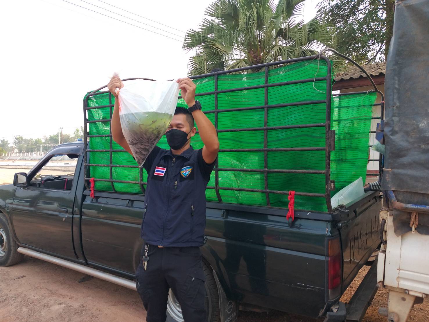 ตรวจสอบลูกพันธุ์สัตว์น้ำ ส่งออกไปยัง สปป.ลาว..คลิก