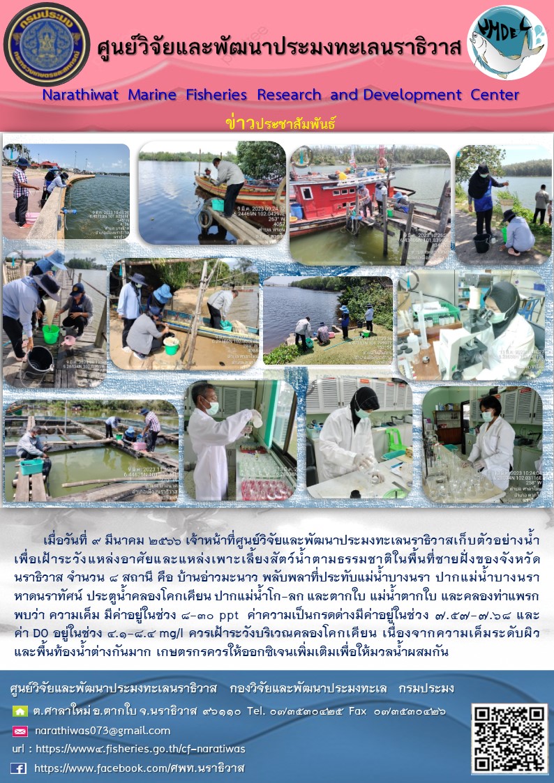 เมื่อวันที่ 9 มีนาคม 2566 เจ้าหน้าที่ศูนย์วิจัยและพัฒนาประมงทะเลนราธิวาสเก็บตัวอย่างน้ำเพื่อเฝ้าระวังแหล่งอาศัยและแหล่งเพาะเลี้ยงสัตว์น้ำตามธรรมชาติในพื้นที่ชายฝั่งของจังหวัดนราธิวาส จำนวน 8 สถานี คือ บ้านอ่าวมะนาว พลับพลาที่ประทับแม่น้ำบางนรา ปากแม่น้ำบางนราหาดนราทัศน์ ประตูน้ำคลองโคกเคียน ปากแม่น้ำโก-ลก และตากใบ แม่น้ำตากใบ และคลองท่าแพรก พบว่า ความเค็ม มีค่าอยู่ในช่วง 8-30 ppt ค่าความเป็นกรดด่างมีค่าอยู่ในช่วง 7.57-7.68 และค่า DO อยู่ในช่วง 4.1-8.4 mg/l ควรเฝ้าระวังบริเวณคลองโคกเคียน เนื่องจากความเค็มระดับผิวและพื้นท้องน้ำต่างกันมาก เกษตรกรควรให้ออกซิเจนเพิ่มเติมเพื่อให้มวลน้ำผสมกัน..คลิก
